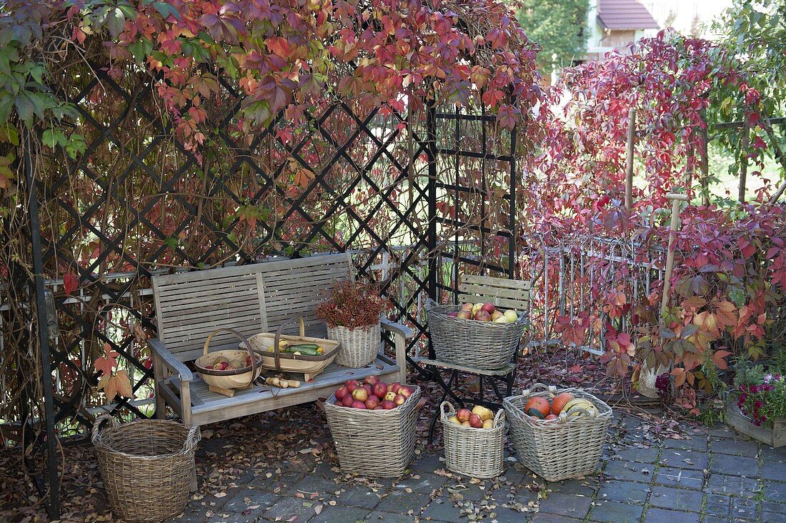 Erntedank - Terrasse mit gefüllten Körben