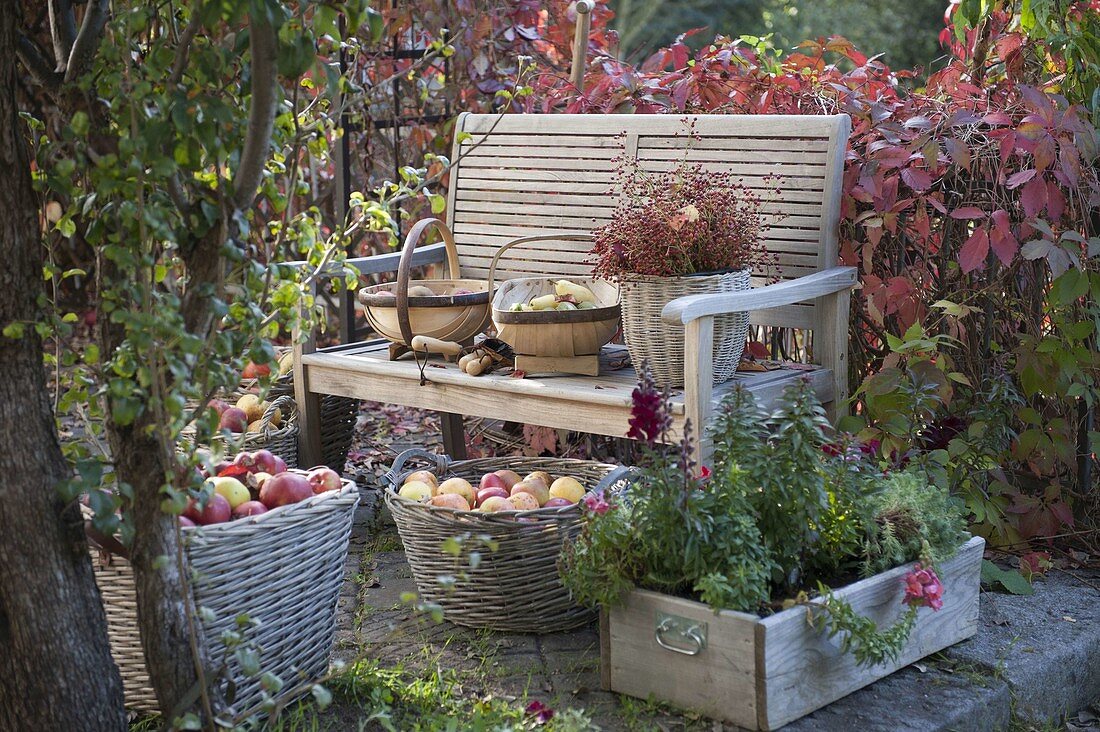 Erntedank-Terrasse mit gefüllten Körben