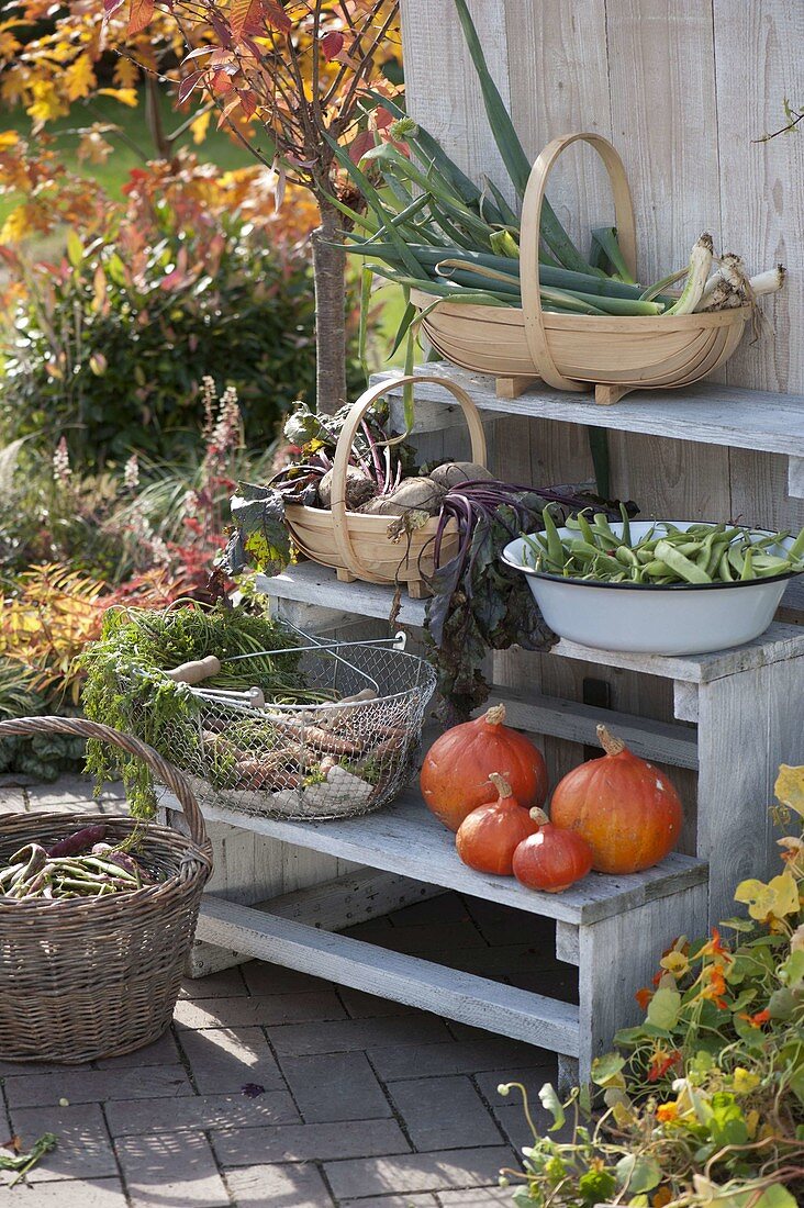 Baskets with vegetables harvested from your own garden