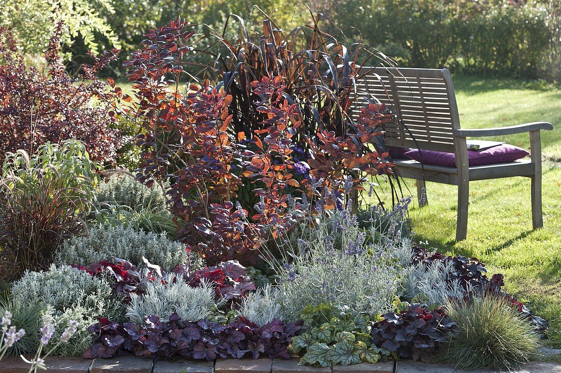Contrasting bed with silver-grey and red plants