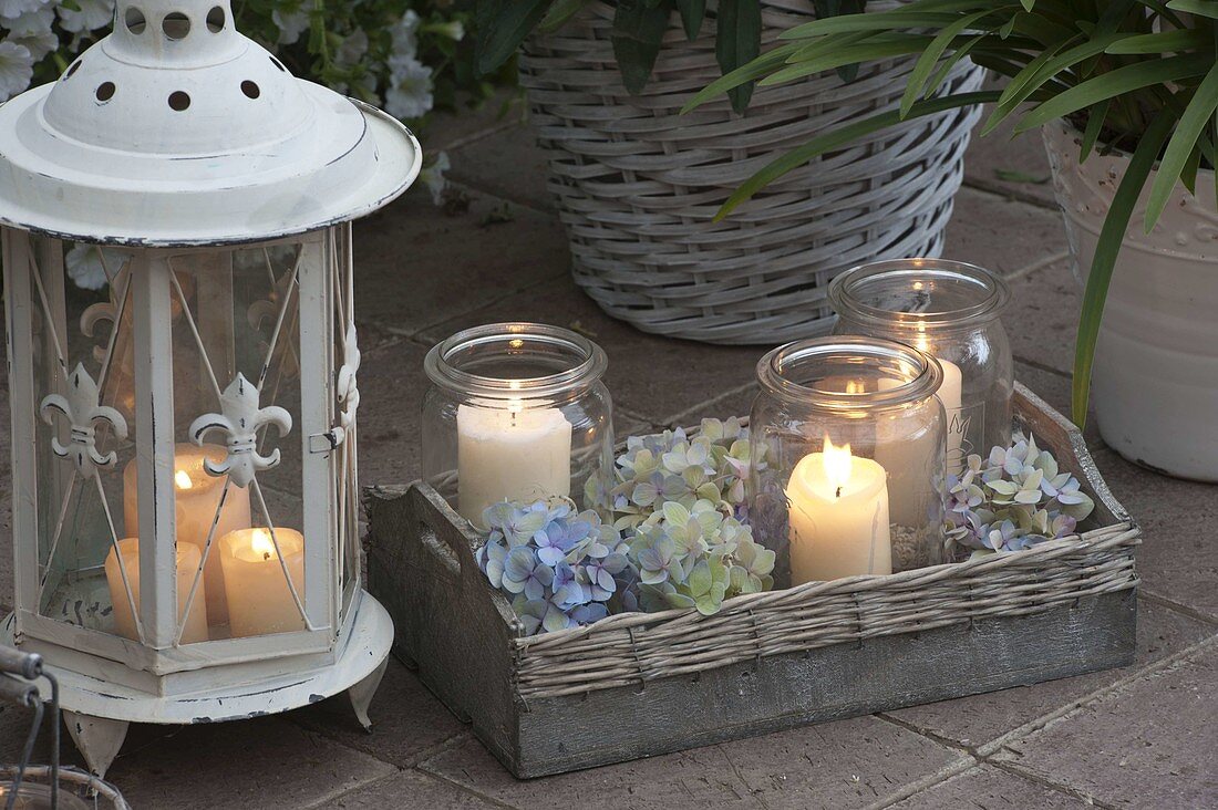 White lantern, lanterns on wooden tray with hydrangea (hydrangea flowers)