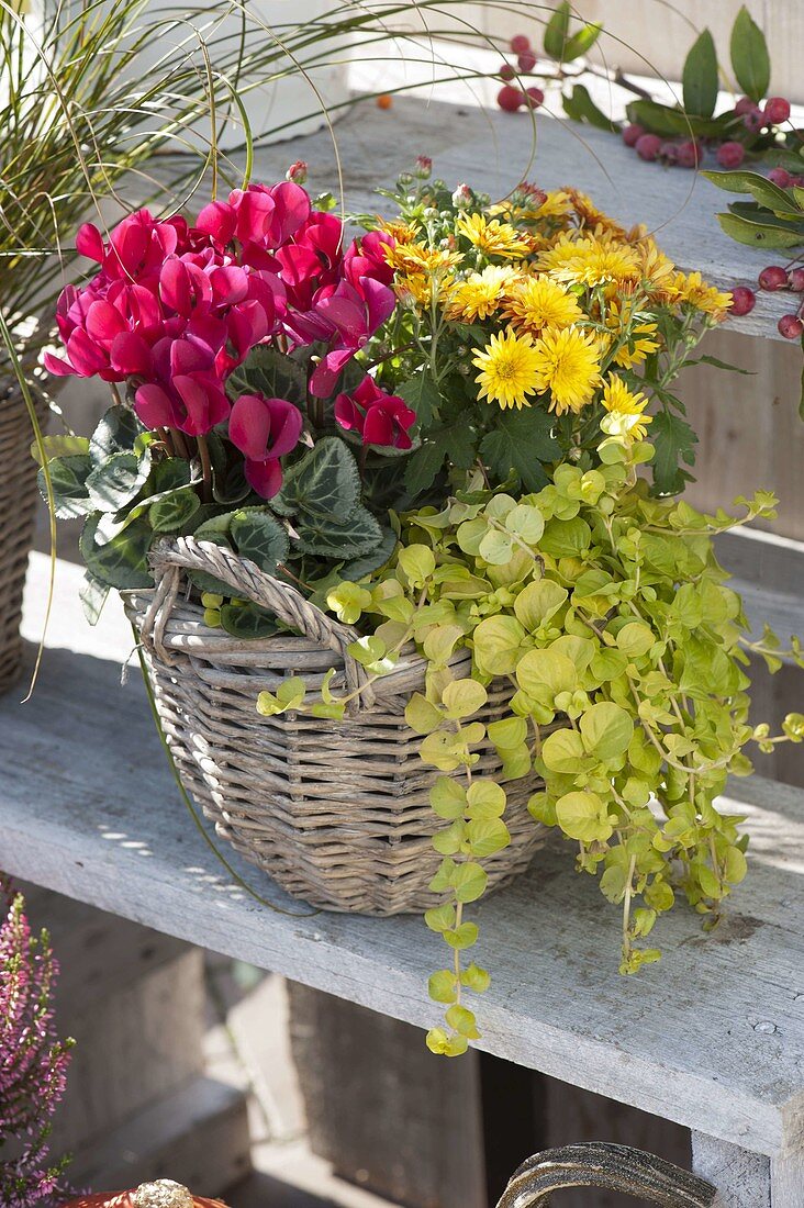 Herbstterrasse mit Pflanzentreppe