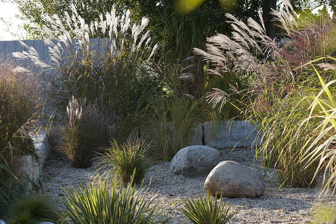 Gravel garden bordered with grasses with limestones