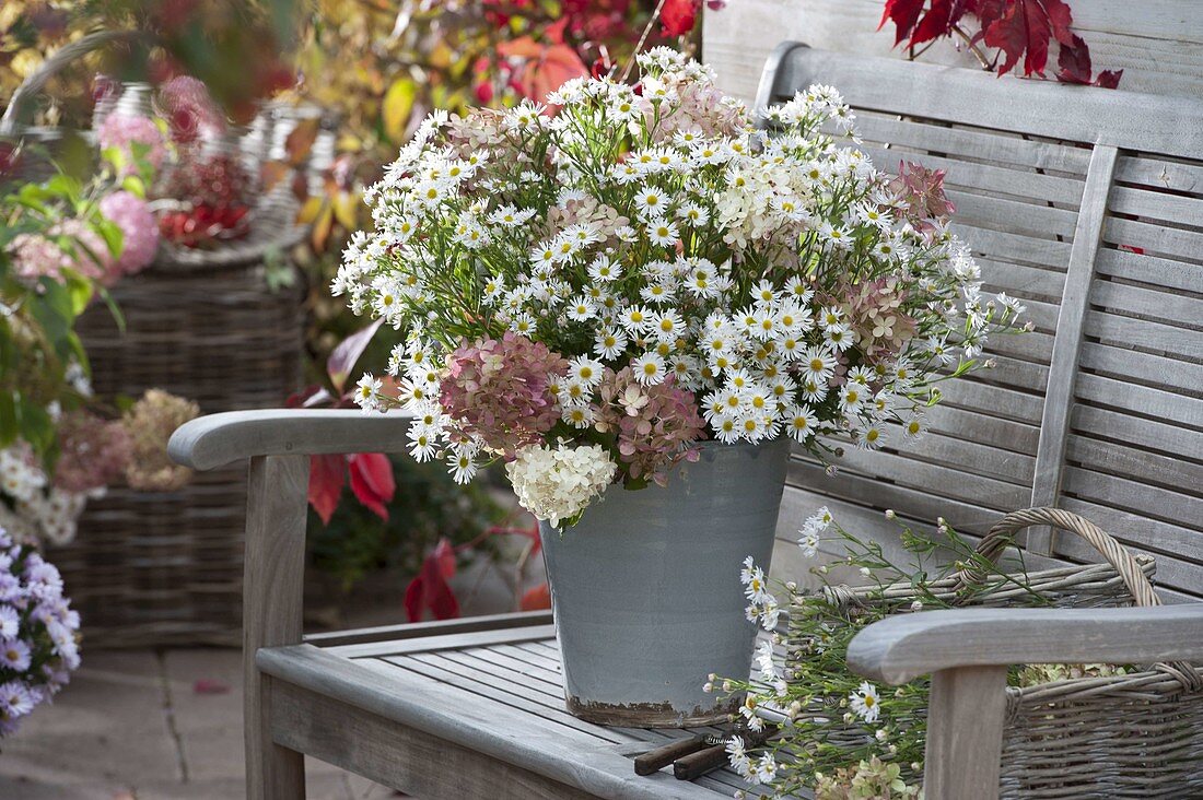 Strauß aus weißen Aster (Herbstastern, Septemberkraut) und Hydrangea