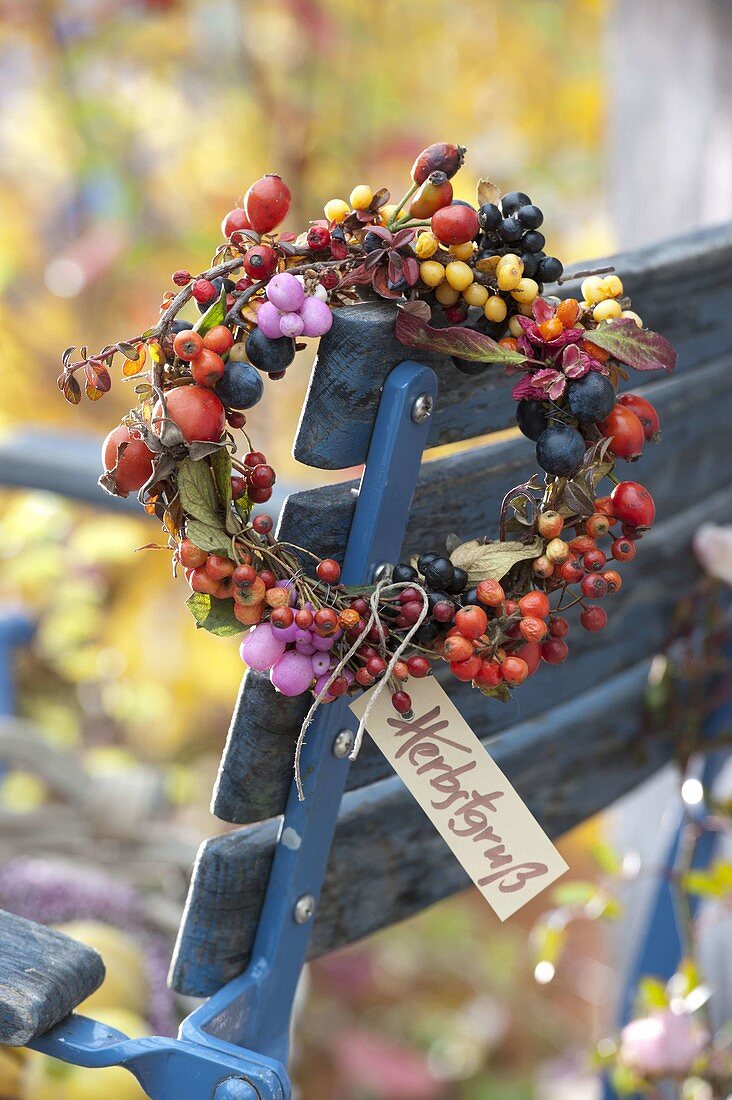 Berry wreath of Rosa (rosehip), Cotoneaster (dwarf medlar), sea buckthorn