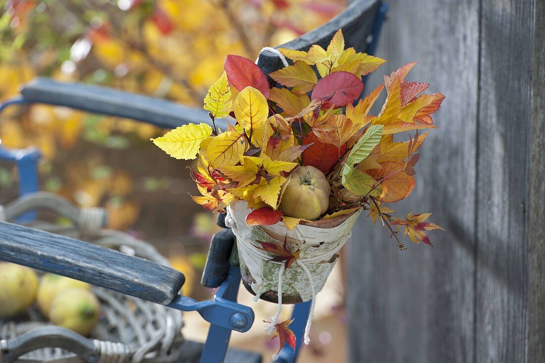 Leaves bouquet with branches of shrubs with beautiful autumn colors