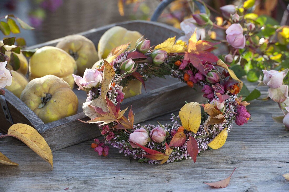 Autumn wreath with autumn leaves, Rosa (roses), Euonymus (peony)