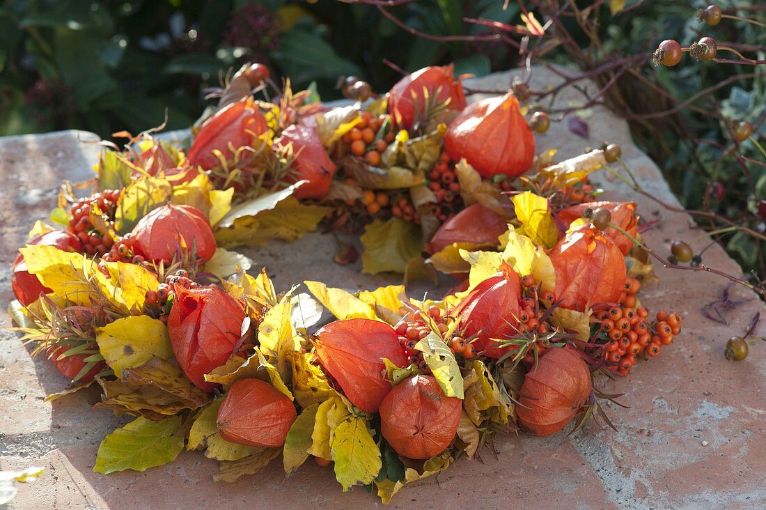 Wreath made of physalis (lampions), pyracantha (firethorn)