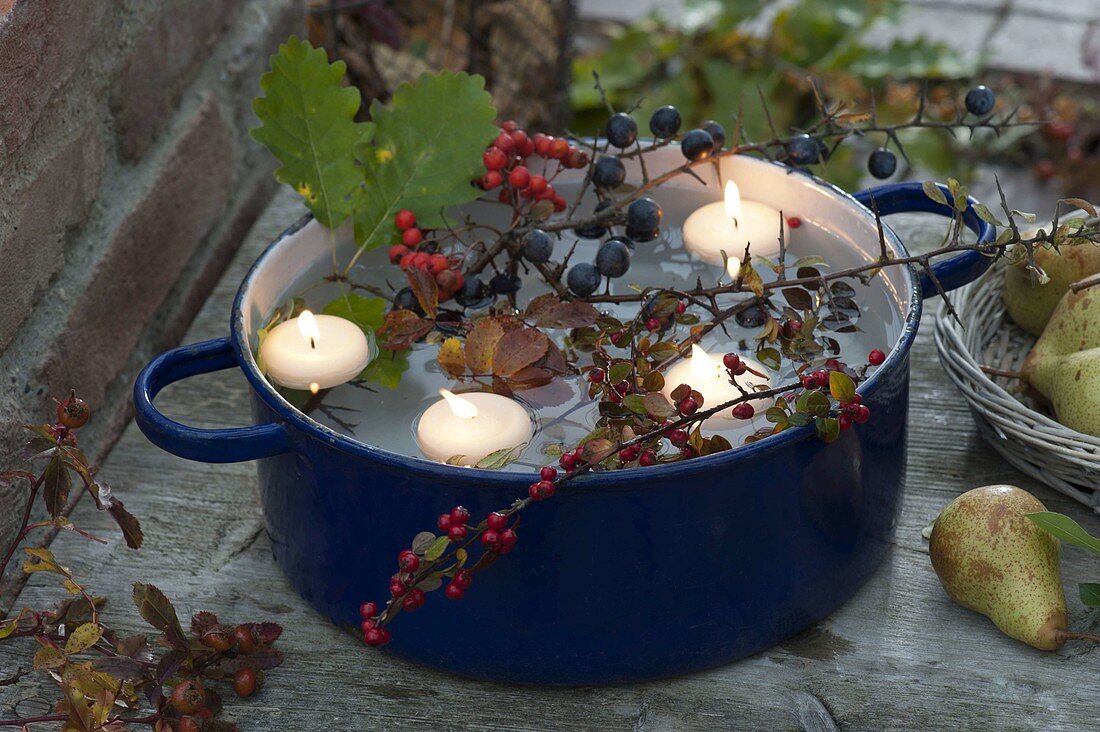 Blue enamel pot with floating candles, Cotoneaster