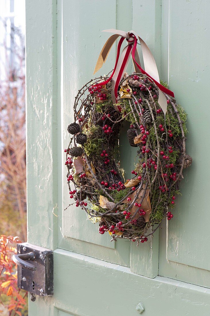 Natural wreath made of Cotoneaster (dwarf medlar), branches of Larix