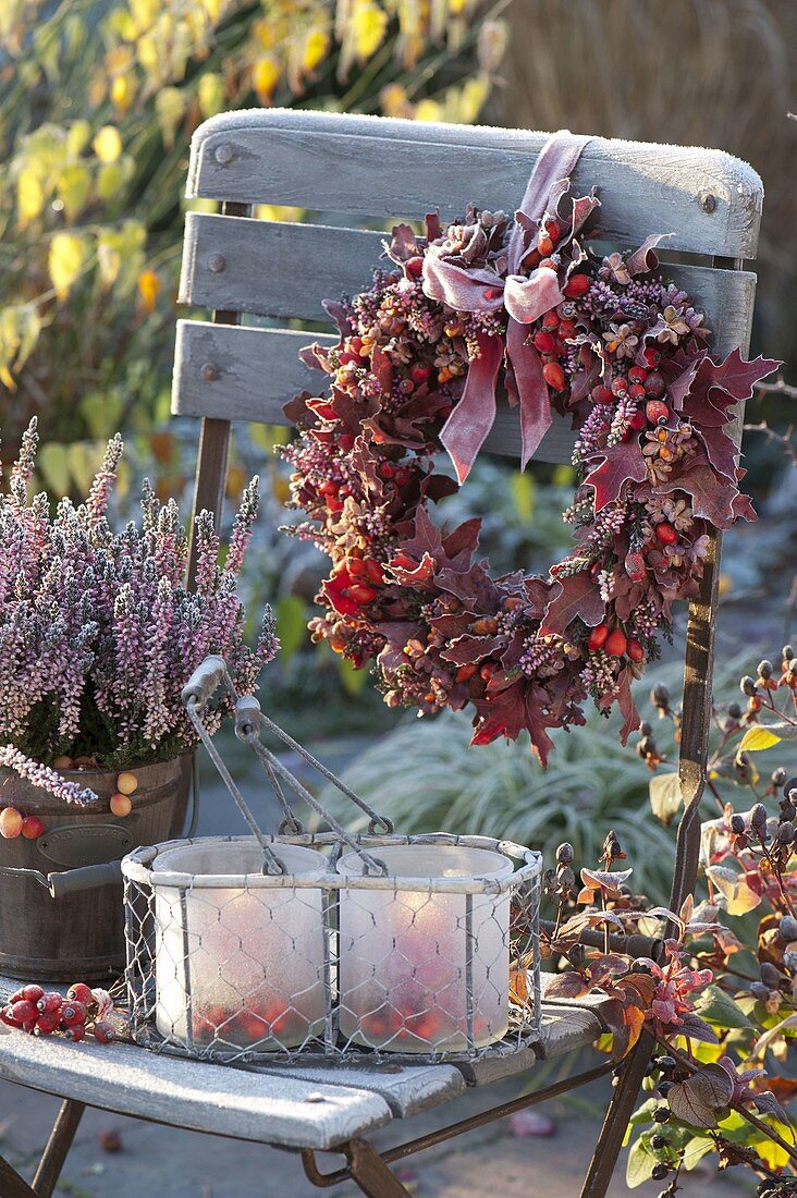 Frozen autumn wreath in various shades of red: Quercus leaves
