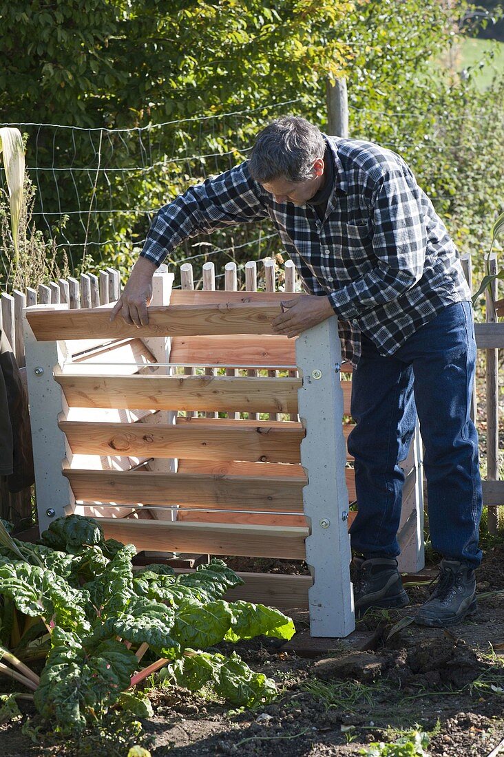 Man assembling compost container, Swiss chard (Beta vulgaris)