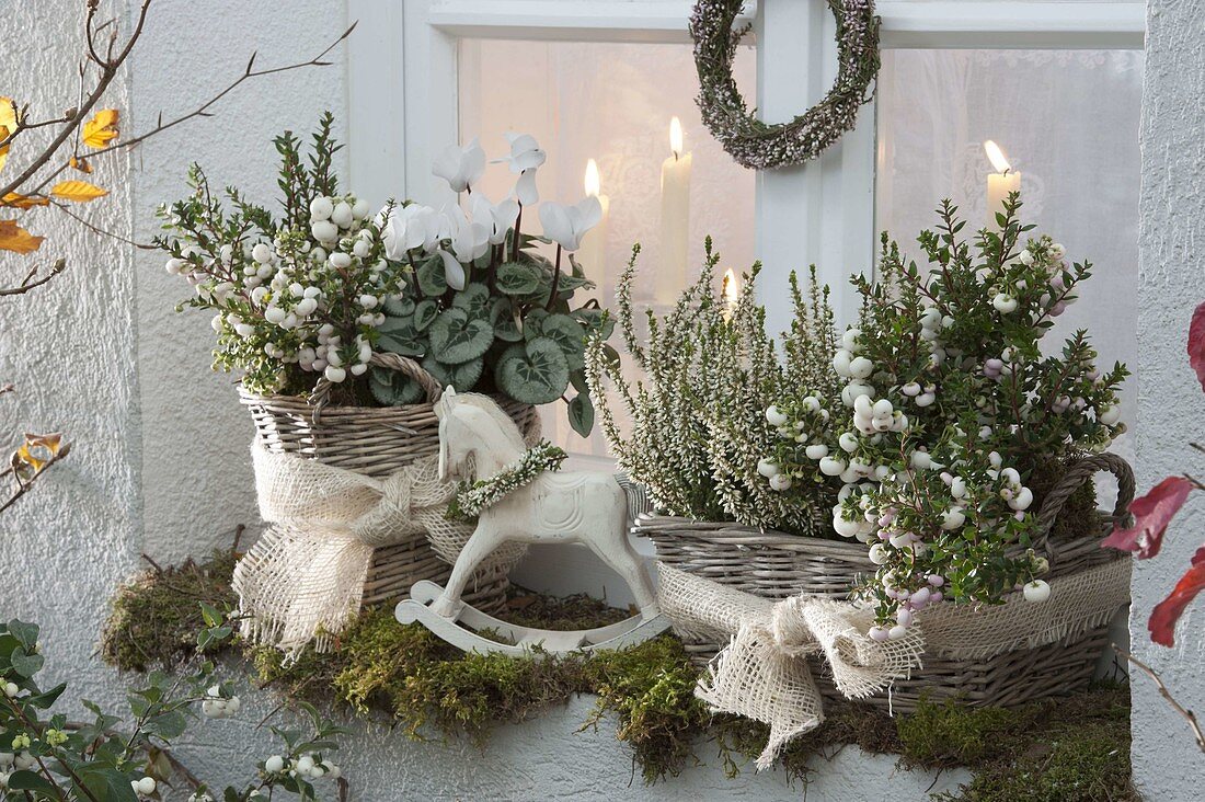 Baskets planted in autumn in front of the window