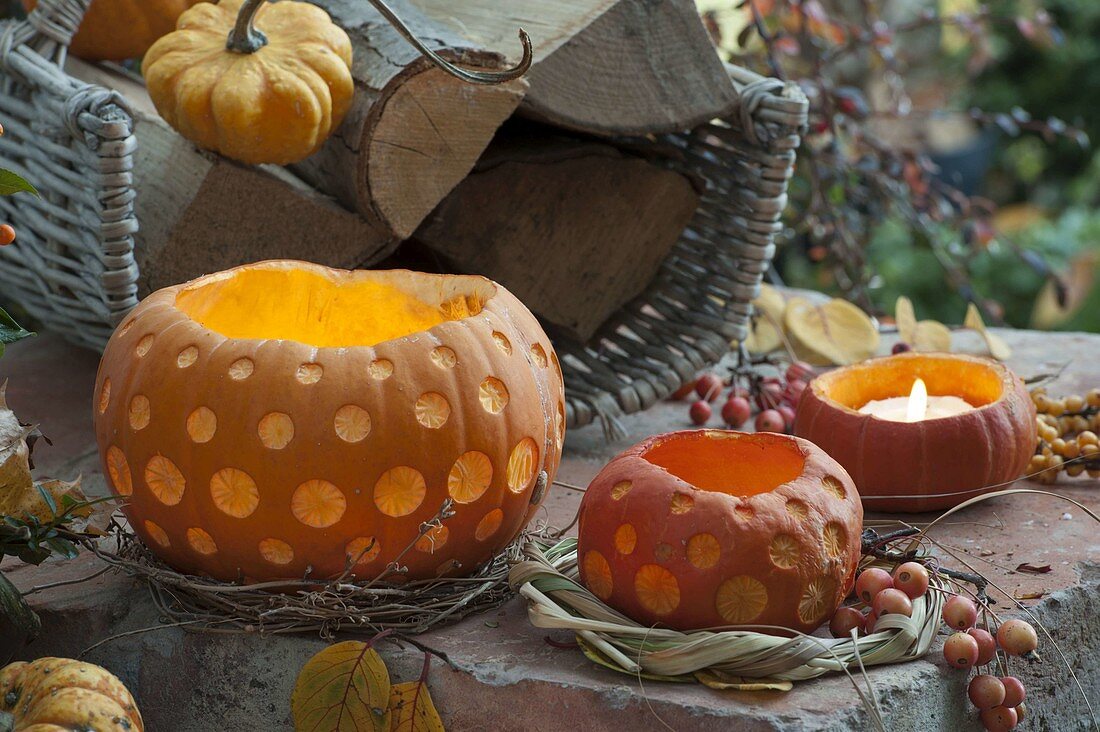 Dekorativ geschnitze Kürbisse (Cucurbita) in Kränzen aus Zweigen