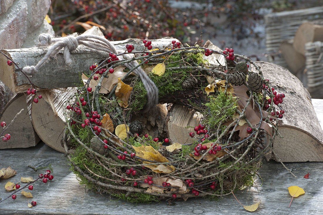 Natural wreath made of Cotoneaster (dwarf medlar), branches of Larix