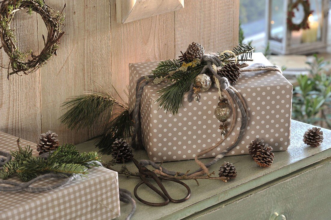 Gifts naturally decorated with branches of Pinus (silk pine)