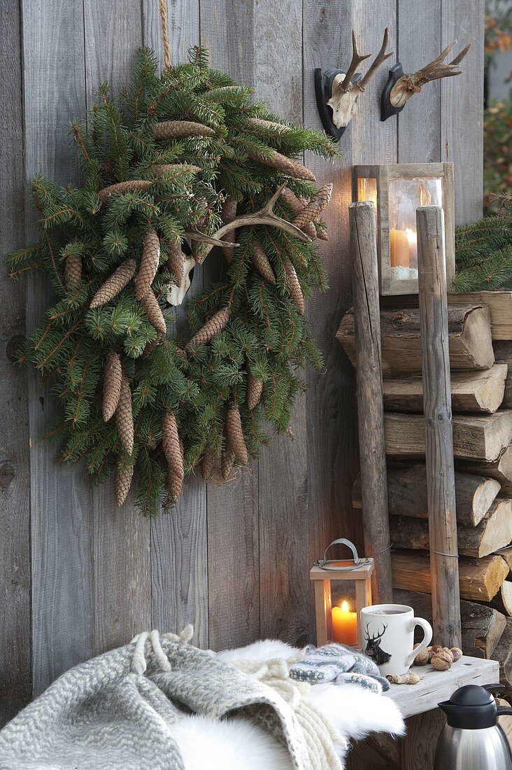 Wreath of Picea omorica (spruce) with cones on board wall