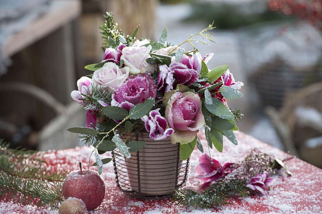 Leicht beschneiter Strauß aus Rosa (Rosen), Cyclamen (Alpenveilchen)
