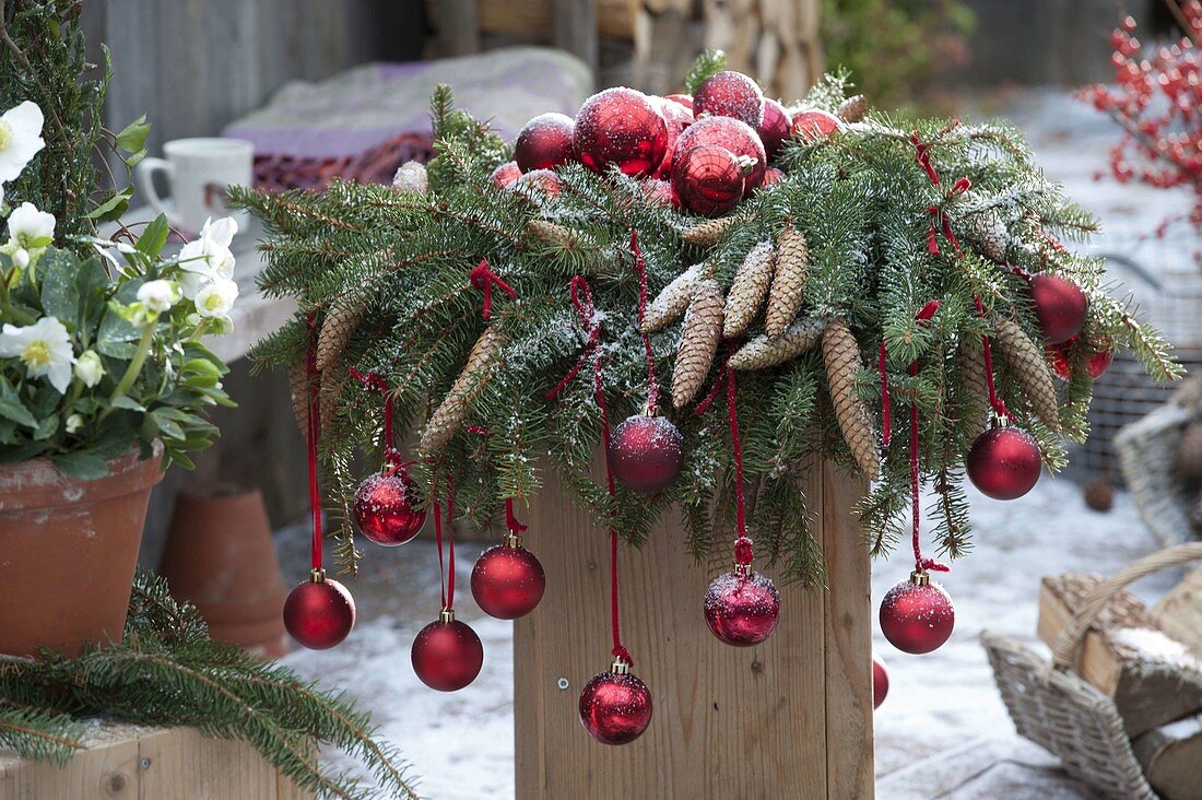 Kranz aus Picea omorica (Fichte) mit Zapfen, geschmückt mit roten Kugeln