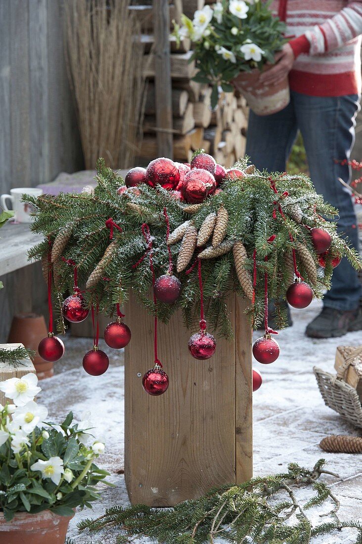 Kranz aus Picea omorica (Fichte) mit Zapfen, geschmückt mit roten Kugeln