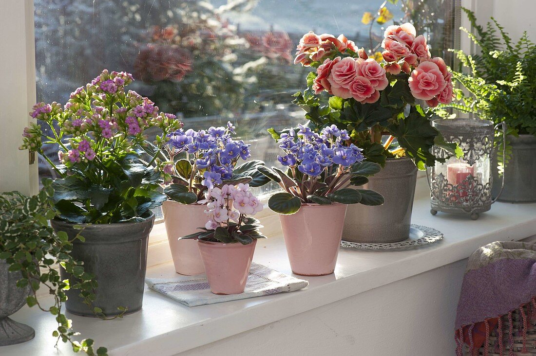 Low-maintenance flower window