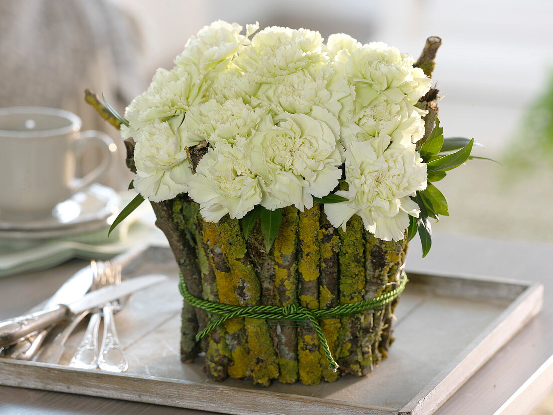 Dianthus caryophyllus 'White Liberty', vase covered with branches