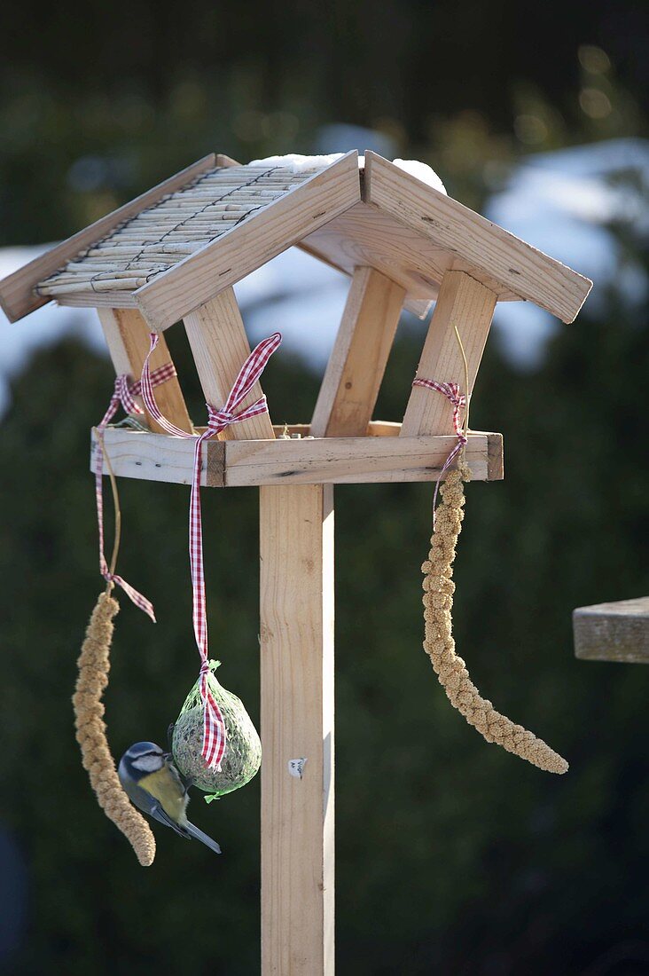 Kleines Vogelfutter-Haus mit Meise am Meisenknödel