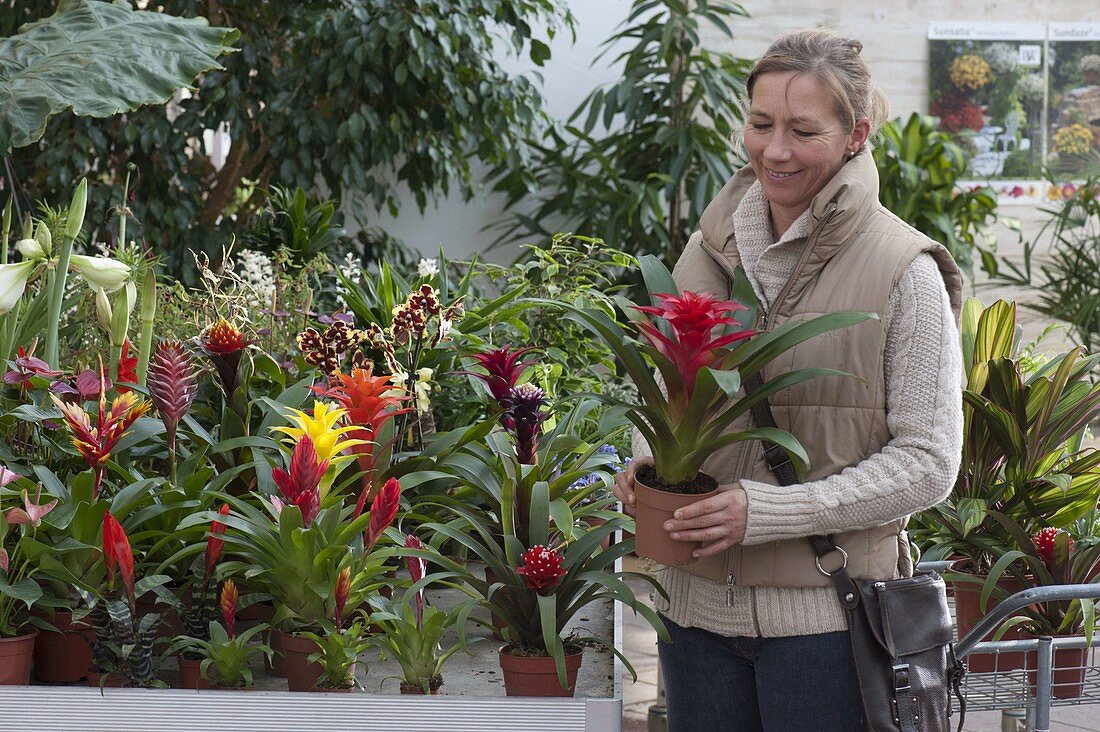 Frau kauft Blumen im Gartencenter