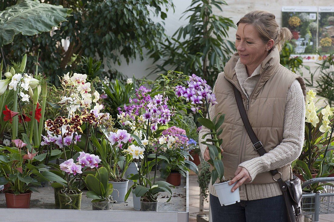 Woman buying flowers at garden centre