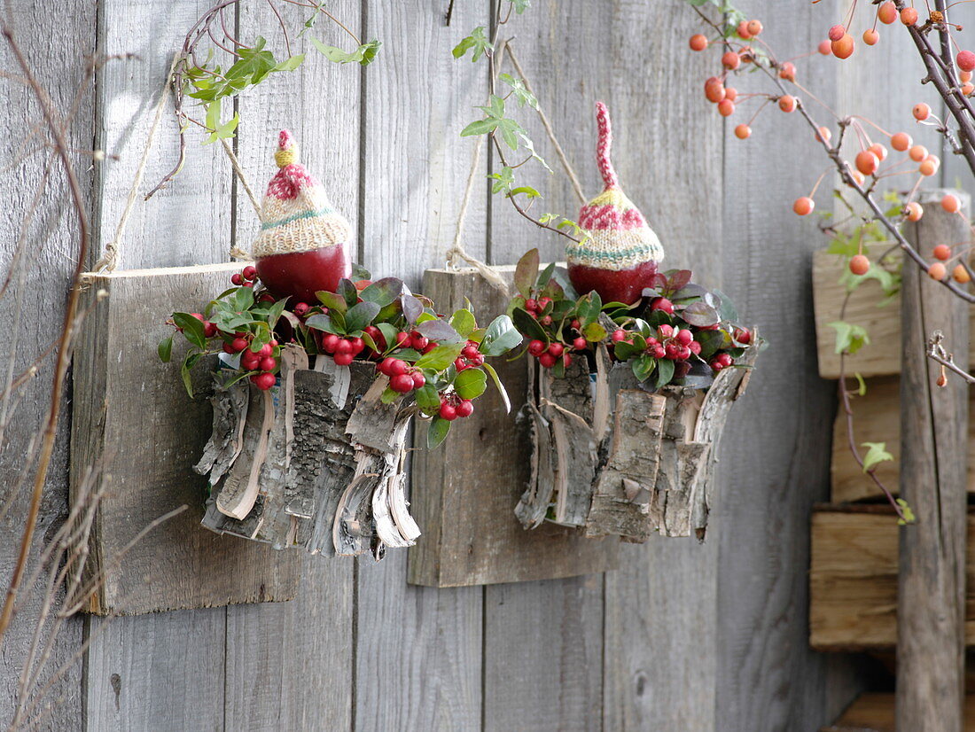 Yoghurt pail with birch bark as planter