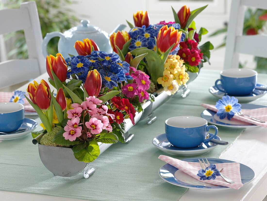 Primrose-tulip table decoration with planted zinc gutters
