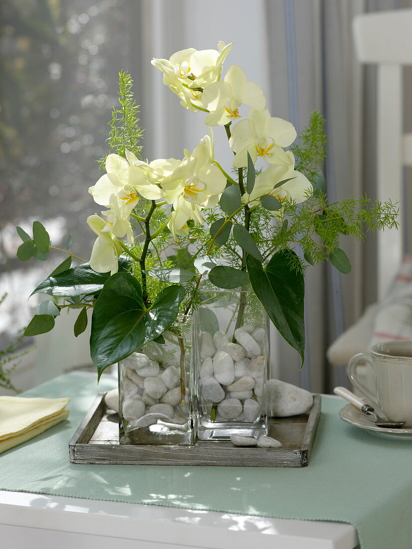 Arrangement with phalaenopsis