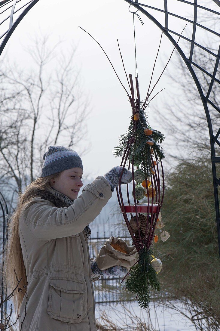 Woman fills self-made feeding station from Cornus twigs