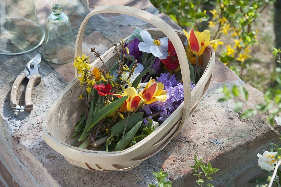 Spacer basket with freshly cut spring flowers