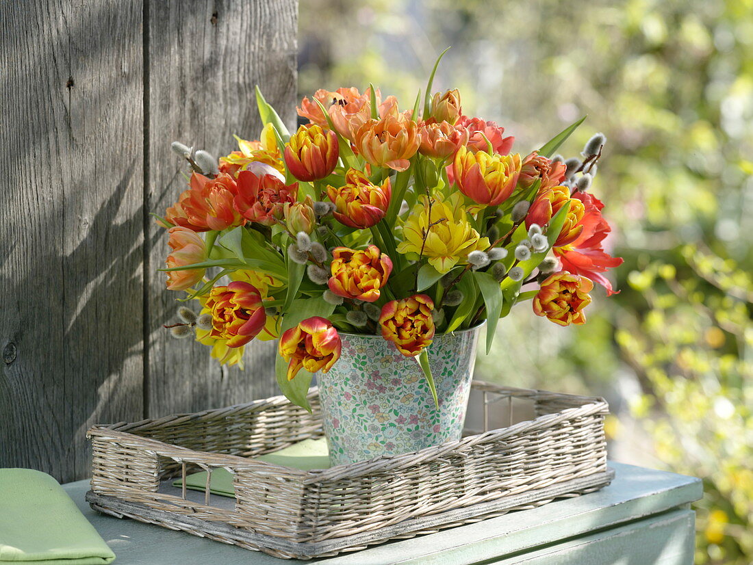 Bouquet of double Tulipa (tulips) and Salix (catkin willow)