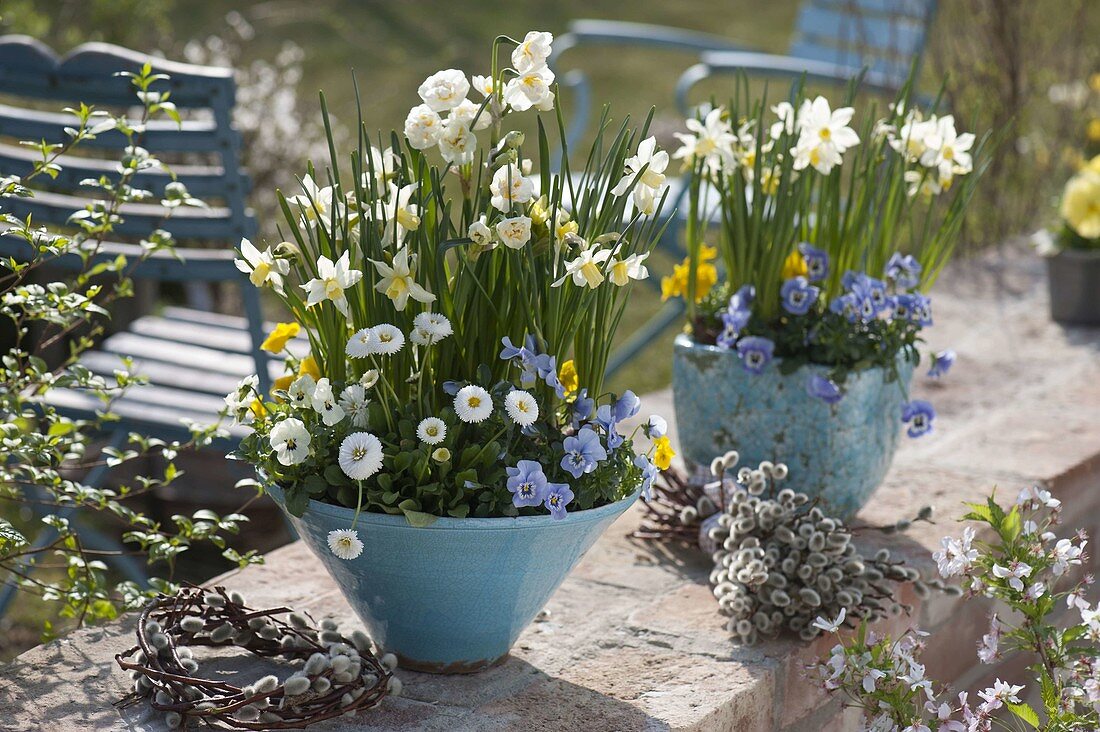 Woman planting blue-white spring bowl (3/3)