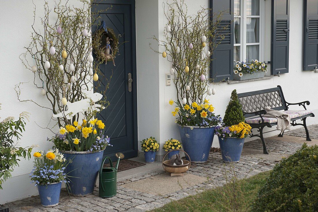 House entrance with blue easterly tubs