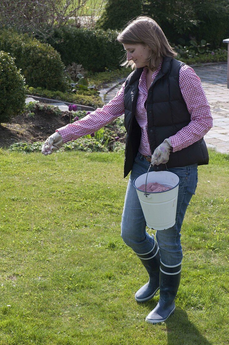 Woman fertilising the lawn