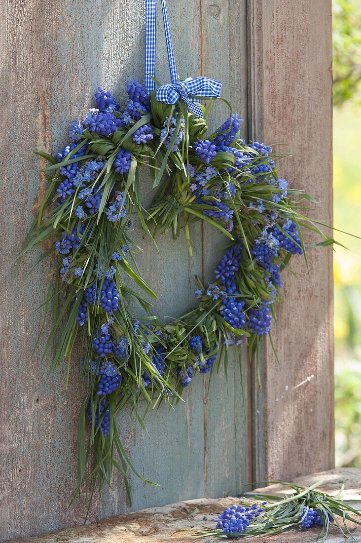 Blaues Frühlingsherz: Muscari (Traubenhyazinthen), Myosotis