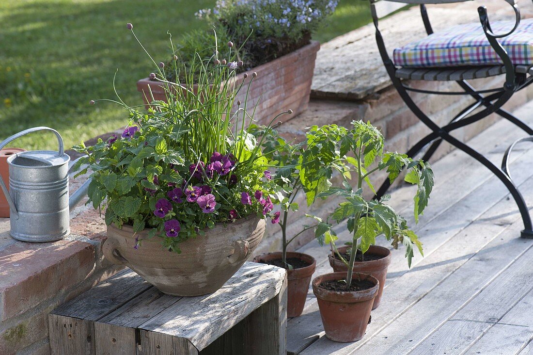 Herbs and edible flowers