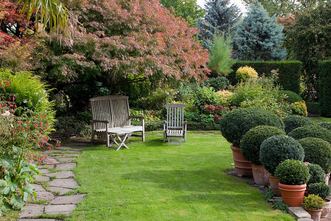 Noun: bench and lounger under Acer (maple) on the lawn, terracotta tubs with Buxus (boxwood balls)