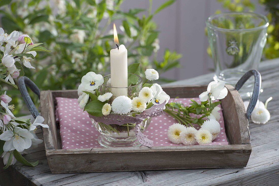 Small wooden tray with lantern, flowers of Viola cornuta (Horned Violet)