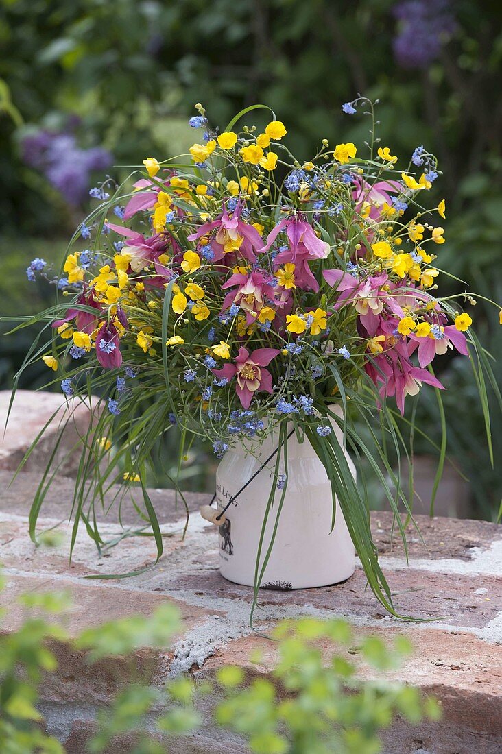 Colourful spring bouquet of Aquilegia (columbine), Ranunculus