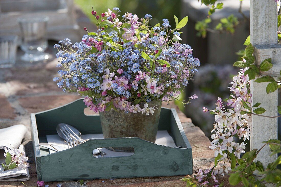 Spring bouquet of Myosotis (forget-me-not) and Malus (ornamental apple)