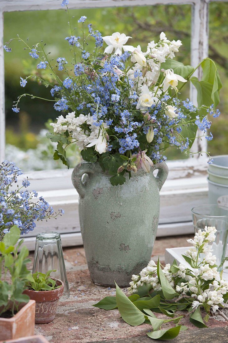 Blau-weißer Frühlingsstrauß aus Myosotis (Vergißmeinnicht), Aquilegia