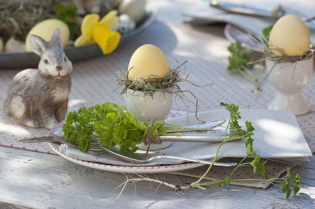 Ostertisch mit Petersilie (Petroselinum) und Salat (Lactuca)