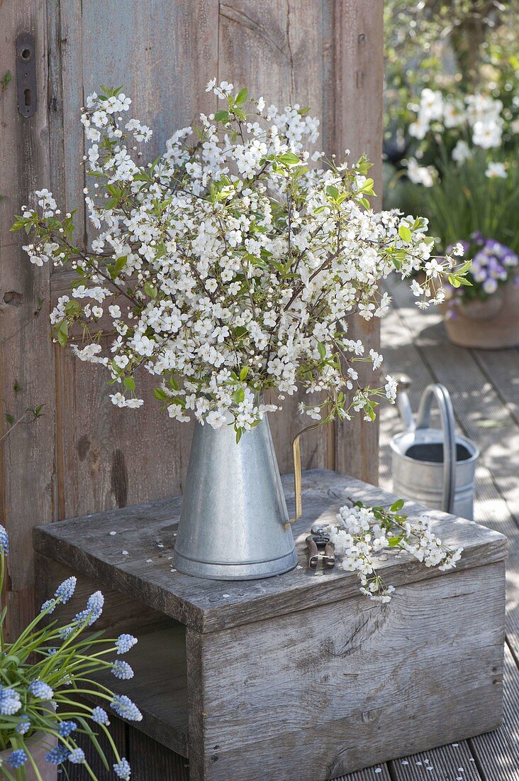 Bouquet made of prunus (cherry) twigs in zinc can