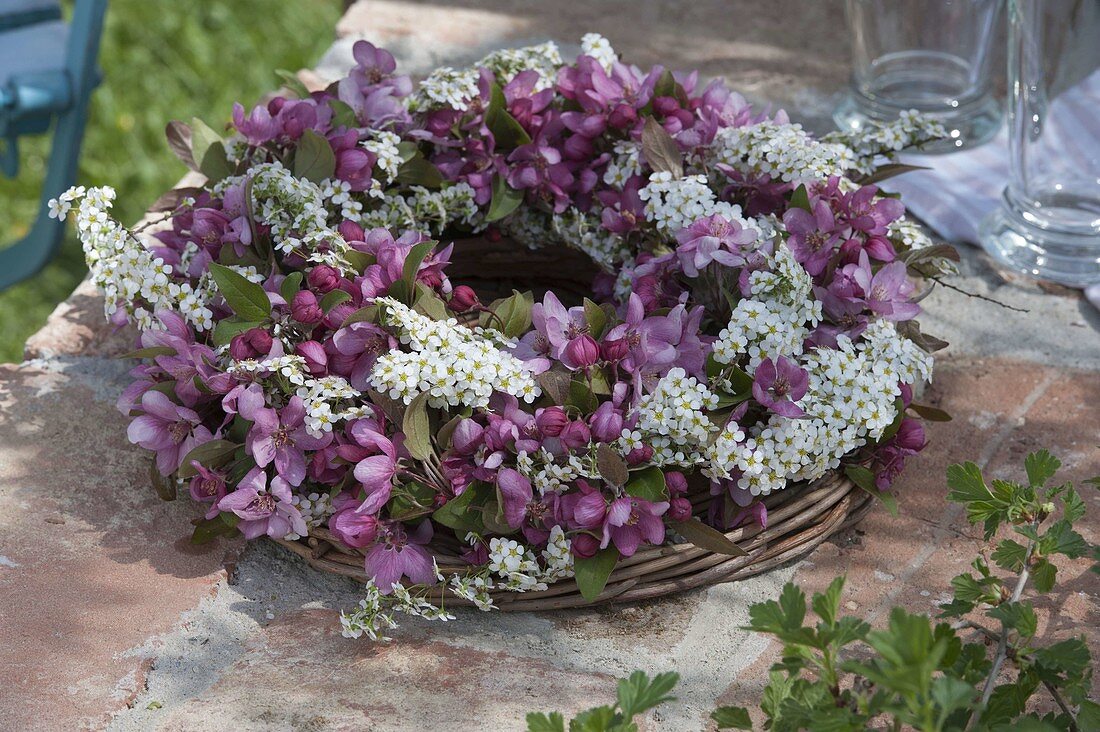 Flowering wreath of Malus (ornamental apple) and Spiraea (ornamental shrub)