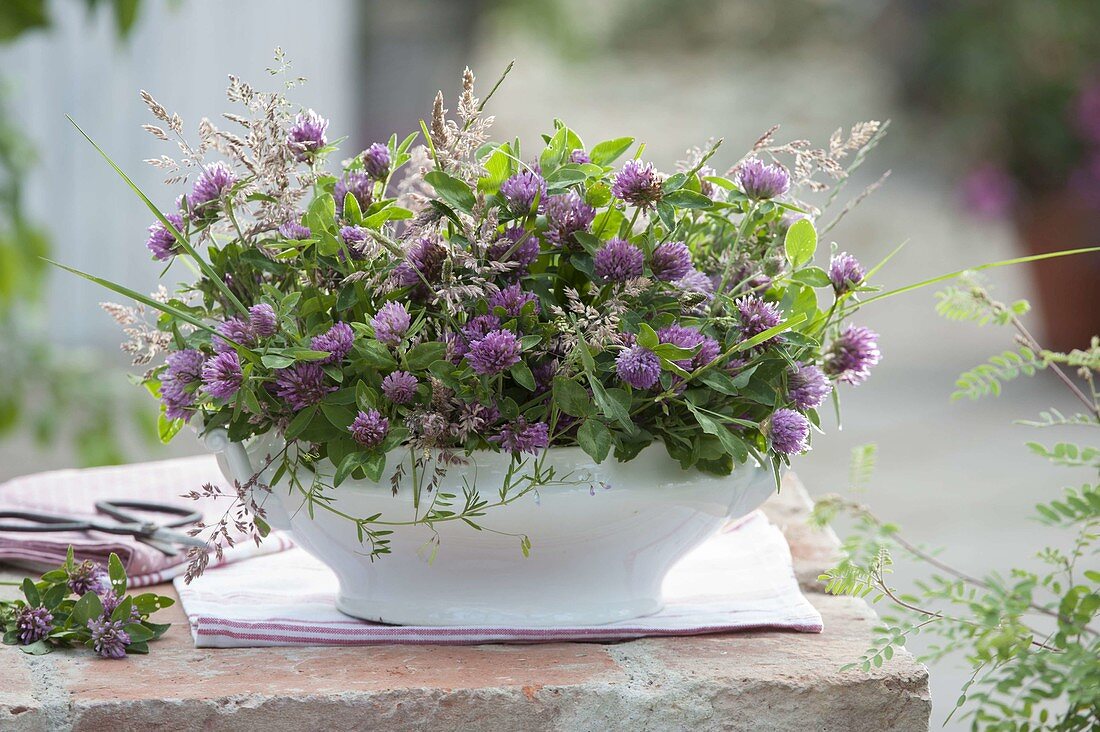 Meadow bouquet of Trifolium pratense (red clover) and grasses in a soup tureen