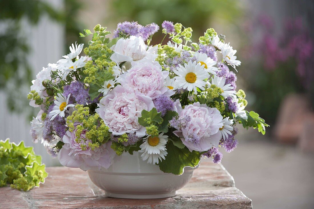 Early summer bouquet with Paeonia, Thalictrum